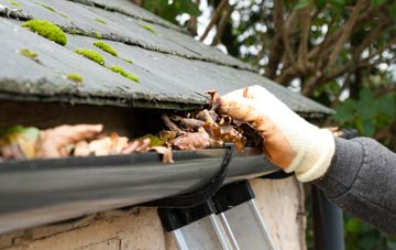 gutter cleaning Glenogil, Angus
